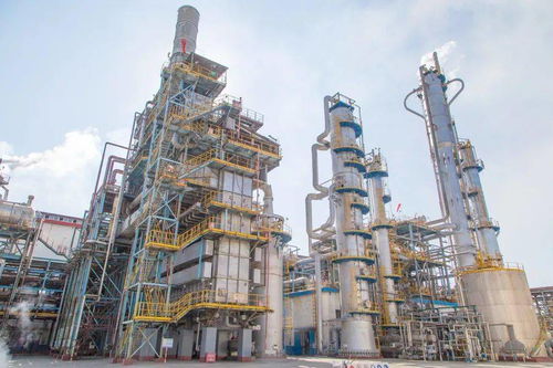 海藻酸尿素啟動試驗性生產 推動綠色農業科技新突破