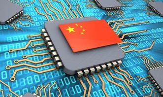 軟件科技需求大反彈，技術開發驅動黃金回升新引擎